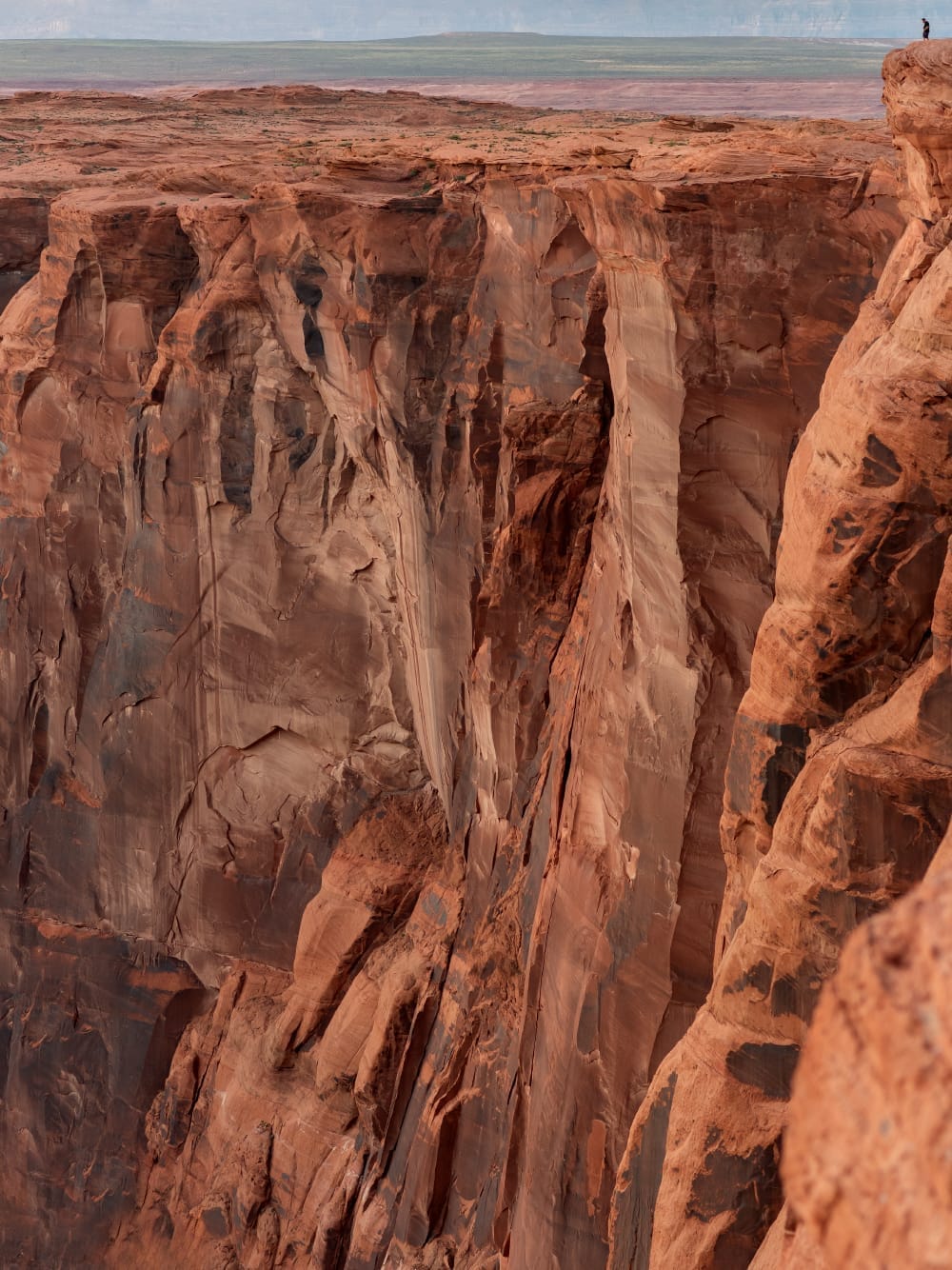 David Perret © Félix Ledru